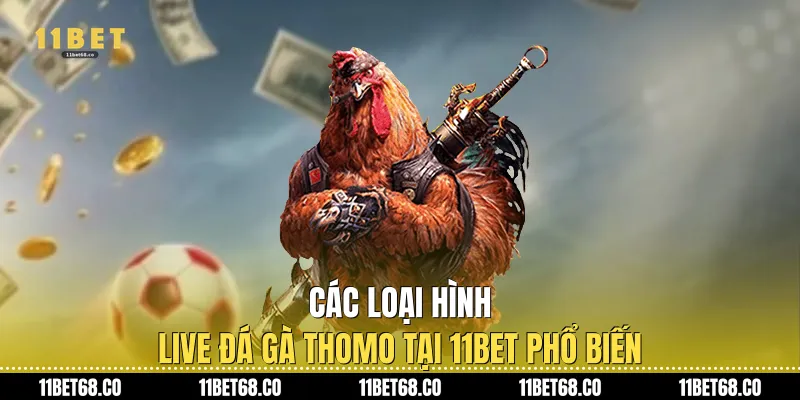 Các loại hình Live đá gà thomo tại 11Bet phổ biến