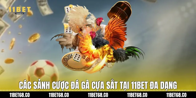 Các sảnh cược Đá gà cựa sắt tại 11Bet đa dạng