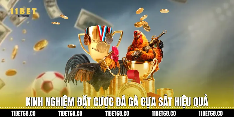 Kinh nghiệm đặt cược Đá gà cựa sắt hiệu quả