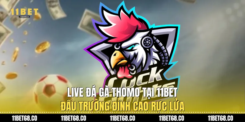 Live Đá Gà Thomo Tại 11Bet: Đấu Trường Đỉnh Cao Rực Lửa