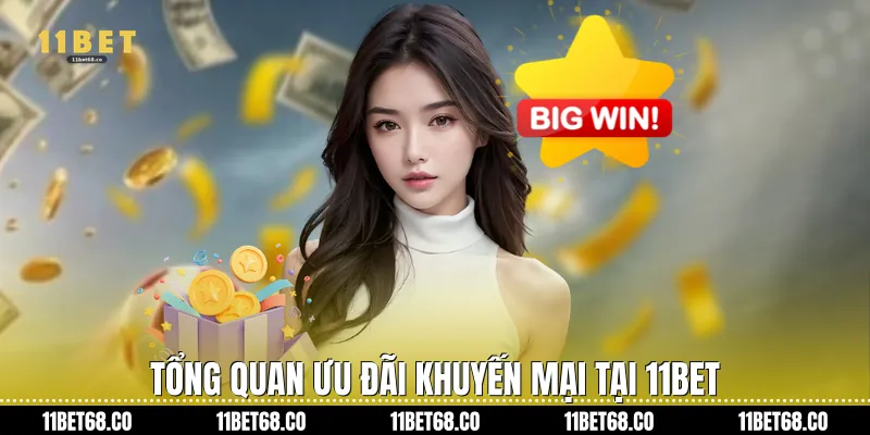 Tổng Quan Ưu Đãi Khuyến Mại tại 11Bet